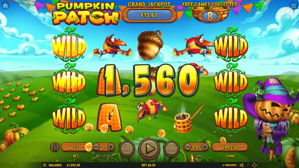 pumpkin patch big win