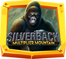 silverbackMultiplierMountain